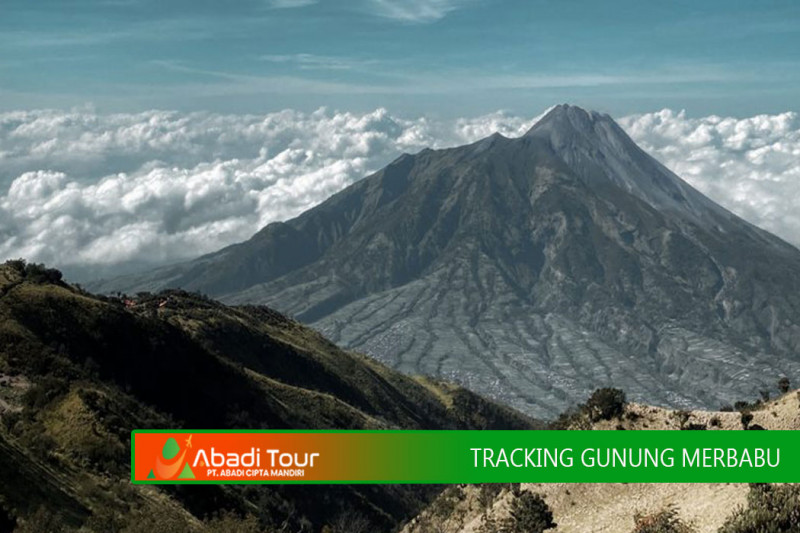 TREKKING SUNRISE GUNUNG MERBABU 